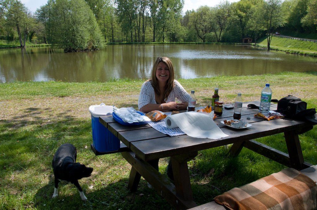 thepicnicatthelakenearlebeugnon.jpg